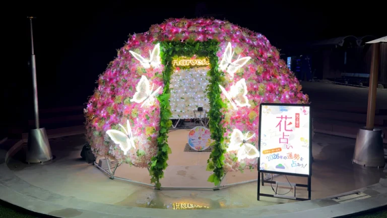 ハーベストの丘 2025