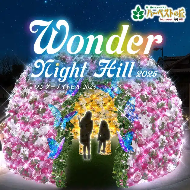 ハーベストの丘 Wonder Night Hill2025
