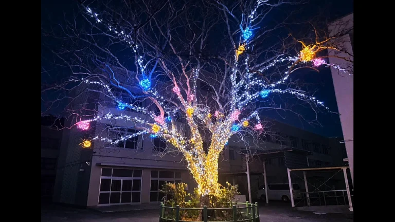 豊橋市立磯辺小学校