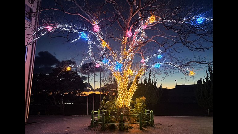 豊橋市立磯辺小学校