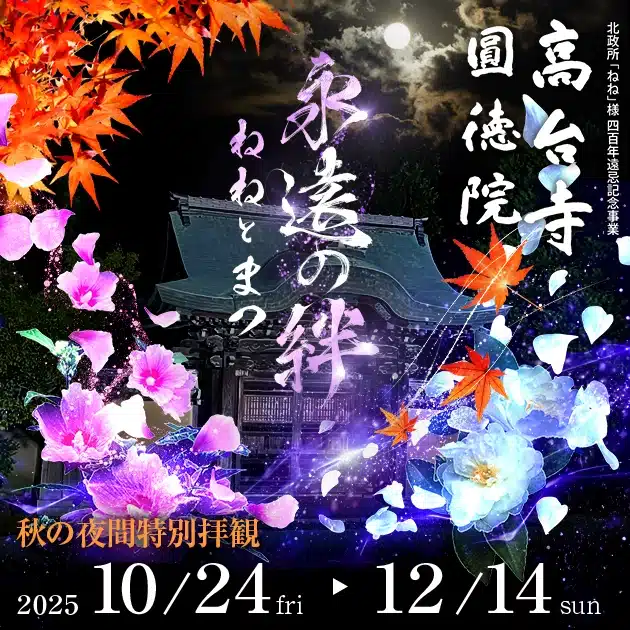 高台寺秋の夜間特別拝観2025