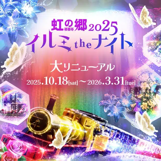 虹の郷2025 イルミtheナイト