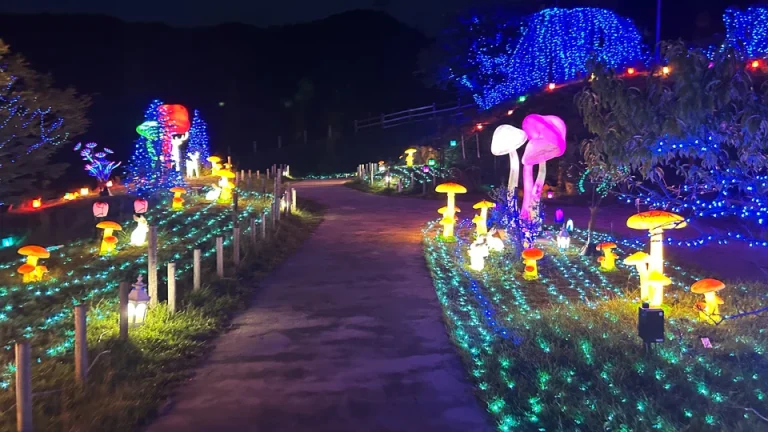 ローザンベリー多和田2025