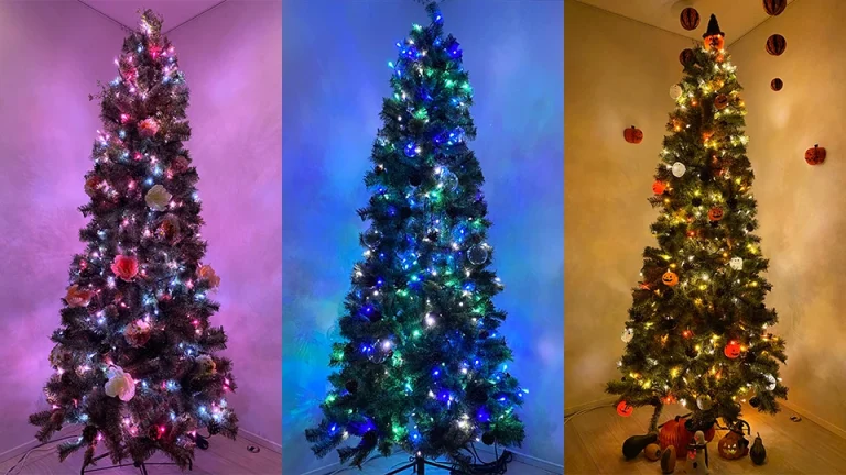 内装　シーズンツリー