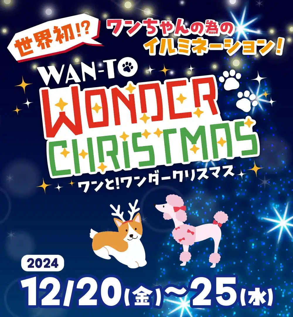 wan-to-christmas-slide01