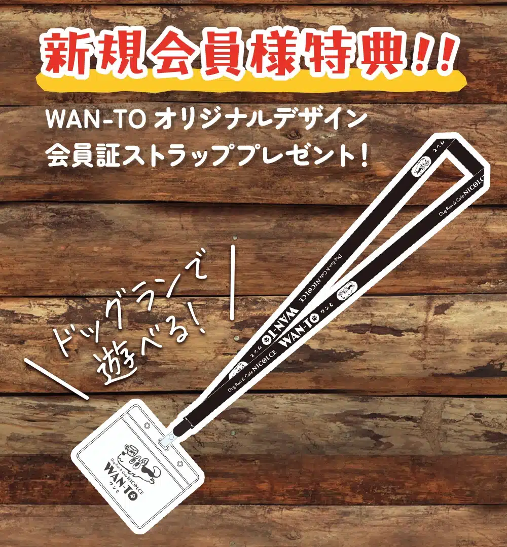 wan-to-slide09