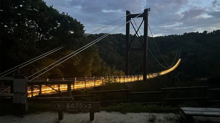 ほしだ園地　星のブランコ