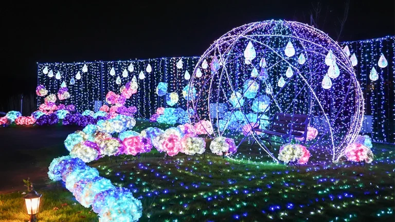 修善寺虹の郷2024