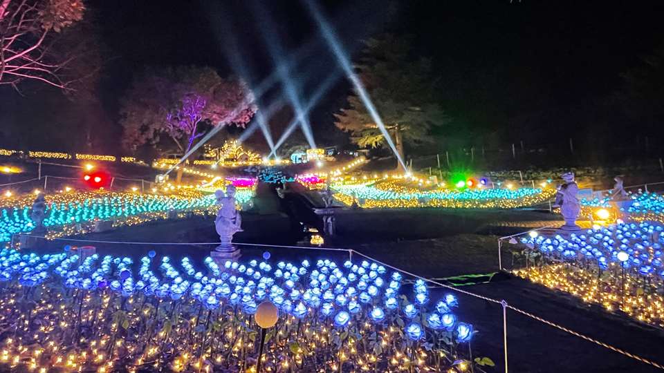 虹の郷サンクスイルミ2022 妖精の庭 フルカラー薔薇LEDライト