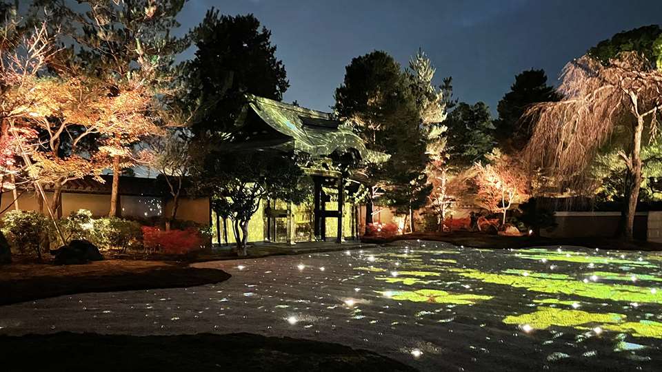 高台寺 秋の夜間特別拝観2022 ライトアップ